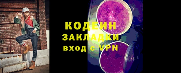 амф Гусь-Хрустальный