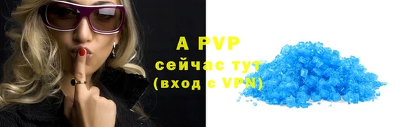 амф Гусь-Хрустальный