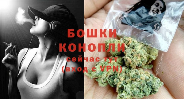 амф Гусь-Хрустальный
