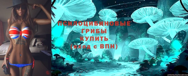 амф Гусь-Хрустальный