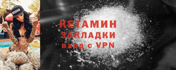 амф Гусь-Хрустальный