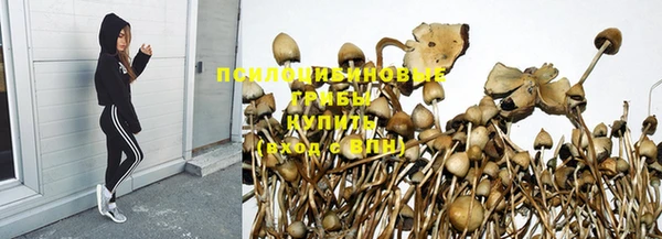 бошки Горно-Алтайск