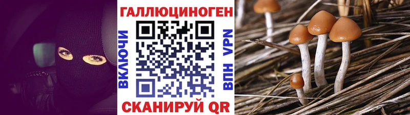 Галлюциногенные грибы Psilocybine cubensis Купить закладки Кукмор